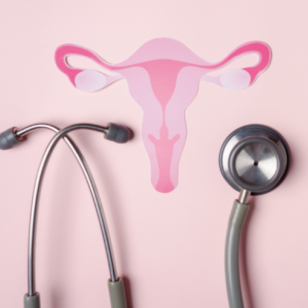 Stethoscope and drwaing of a uterus, to represent the topic of menopause as addressed by Roslyn Pharmacy owner Andy Hou